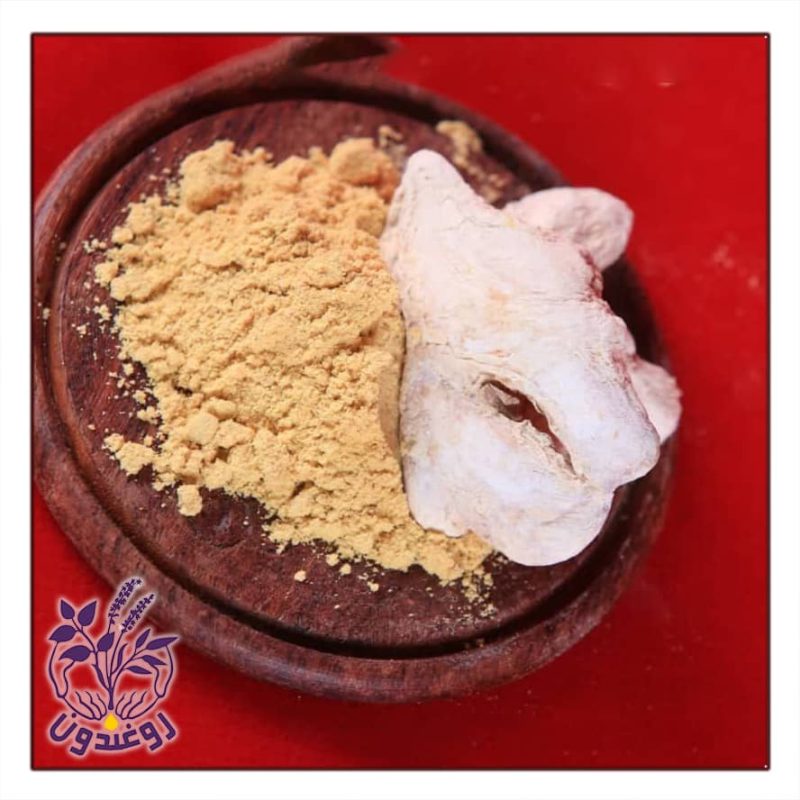 گیاه زنجبیل روغندون (50 گرم) - Image 2