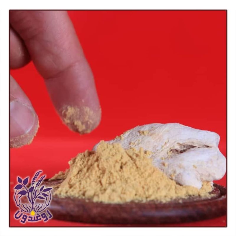 گیاه زنجبیل روغندون (50 گرم) - Image 3