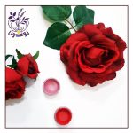 رژلب (کاسه ایی)