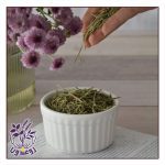 گیاه رزماری روغندون