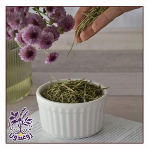 گیاه رزماری روغندون