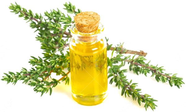 avishan-5 روغن آویشن 60 میل روغندون - Image 1