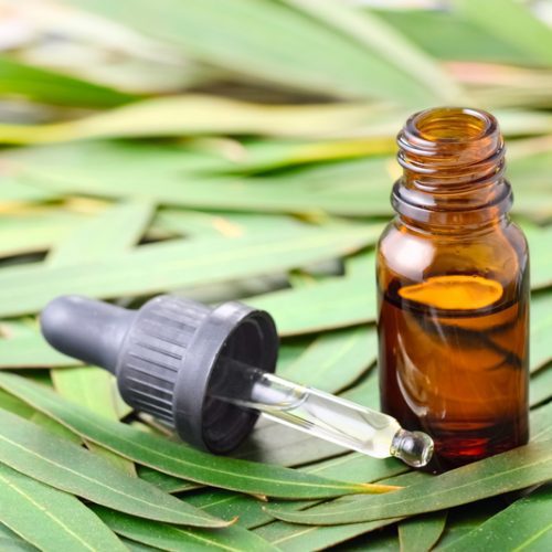 dreamstime_s_109950852-eucalyptus-essential-oil-500x500 اسنشیال