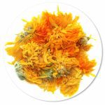 گل همیشه بهار
