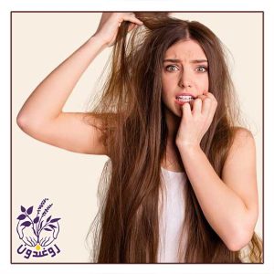 پروتئین تراپی مو