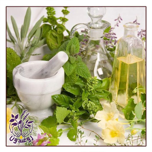 جوشانده های گیاهی
