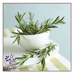 جوشانده های گیاهی