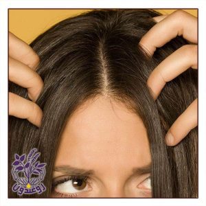 چجوری اسکراب سر کنیم ؟
