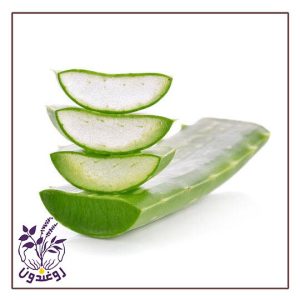 خواص آلوئه ورا برای پوست