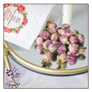 غنچه گل محمدی روغندون