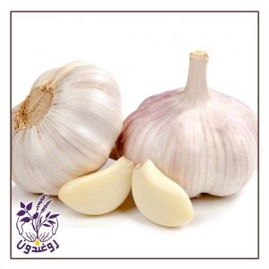 سیر برای مو