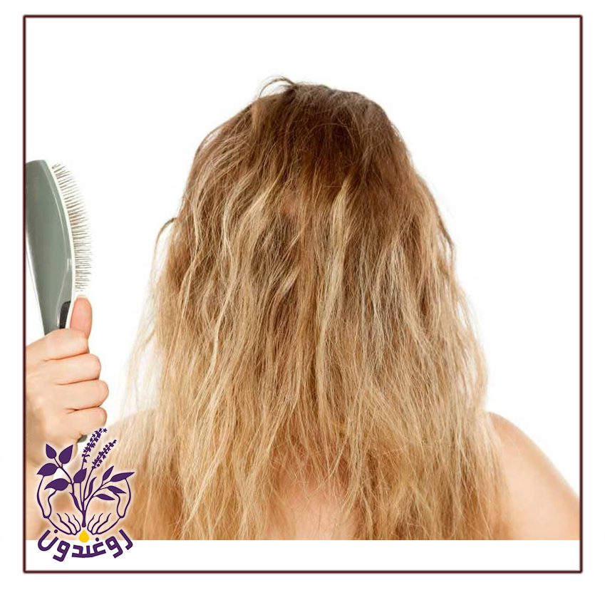 موی وز