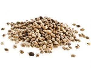 روغن شاهدانه