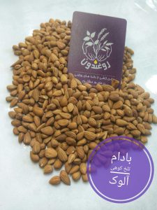 بادام کوهی یا آلوک