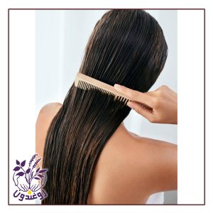 دوره تهاجمی تابستانه