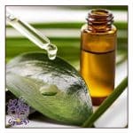 روغن درخت چای برای پوست