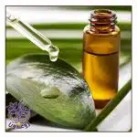 روغن درخت چای برای پوست
